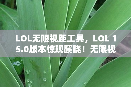 LOL无限视距工具,LOL 15.0版本惊现蹊跷!无限视距竟成老玩家集体泪目伏笔? LOL无限视距工具,LOL 15.0版本惊现蹊跷!无限视距竟成老玩家集体泪目伏笔?
