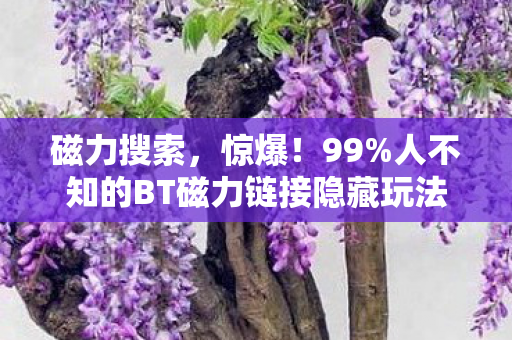 磁力搜索,惊爆!99%人不知的BT磁力链接隐藏玩法,颠覆你的认知! 磁力搜索,惊爆!99%人不知的BT磁力链接隐藏玩法,颠覆你的认知!