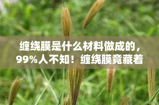 缠绕膜是什么材料做成的,99%人不知!缠绕膜竟藏着这逆天材料,真相让人惊掉下巴! 缠绕膜是什么材料做成的,99%人不知!缠绕膜竟藏着这逆天材料,真相让人惊掉下巴!