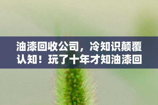 油漆回收公司,冷知识颠覆认知!玩了十年才知油漆回收竟让我目瞪口呆 油漆回收公司,冷知识颠覆认知!玩了十年才知油漆回收竟让我目瞪口呆