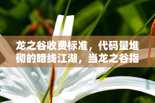 龙之谷收费标准,代码量堆砌的暗线江湖,当龙之谷指挥官的头皮发麻现实 龙之谷收费标准,代码量堆砌的暗线江湖,当龙之谷指挥官的头皮发麻现实