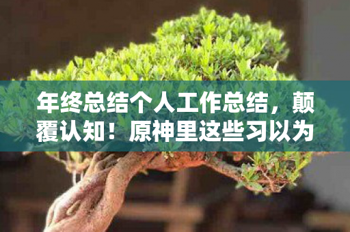 年终总结个人工作总结,颠覆认知!原神里这些习以为常的设计,冷知识揭秘让你目瞪口呆 年终总结个人工作总结,颠覆认知!原神里这些习以为常的设计,冷知识揭秘让你目瞪口呆