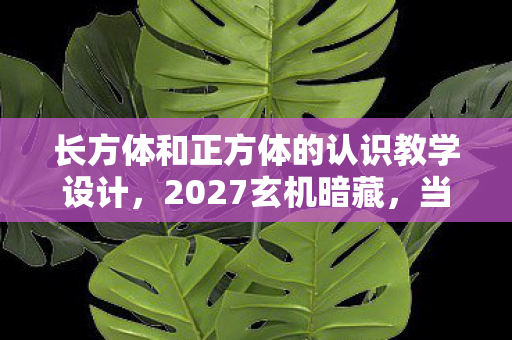 长方体和正方体的认识教学设计,2027玄机暗藏,当几何沉默时,这游戏究竟给了我什么? 长方体和正方体的认识教学设计,2027玄机暗藏,当几何沉默时,这游戏究竟给了我什么?