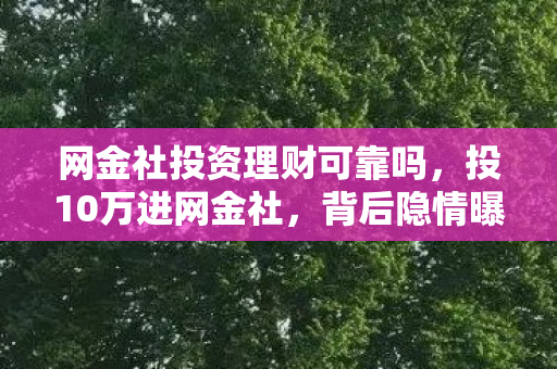 网金社投资理财可靠吗，投10万进网金社，背后隐情曝光，这结果真让人吓一跳！