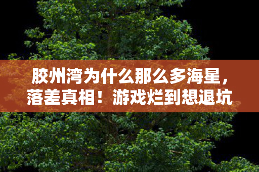 胶州湾为什么那么多海星,落差真相!游戏烂到想退坑,笑着笑着哭了,骂完还是默默登了号 胶州湾为什么那么多海星,落差真相!游戏烂到想退坑,笑着笑着哭了,骂完还是默默登了号