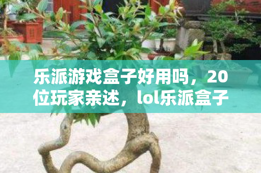 乐派游戏盒子好用吗,20位玩家亲述,lol乐派盒子这神秘功能咋回事?真绷不住了! 乐派游戏盒子好用吗,20位玩家亲述,lol乐派盒子这神秘功能咋回事?真绷不住了!
