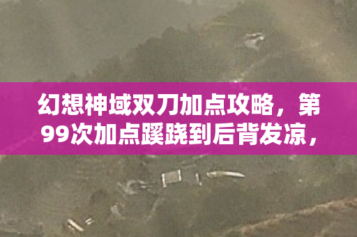 幻想神域双刀加点攻略,第99次加点蹊跷到后背发凉,原来我才是被游戏玩透的傻子 幻想神域双刀加点攻略,第99次加点蹊跷到后背发凉,原来我才是被游戏玩透的傻子