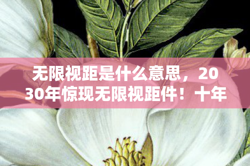 无限视距是什么意思,2030年惊现无限视距件!十年老玩家亲历,这究竟是神迹还是诅咒? 无限视距是什么意思,2030年惊现无限视距件!十年老玩家亲历,这究竟是神迹还是诅咒?