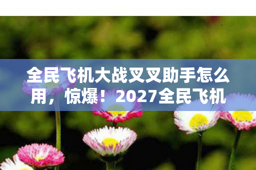 全民飞机大战叉叉助手怎么用，惊爆！2027全民飞机大战叉叉助手竟藏着这些逆天功能？