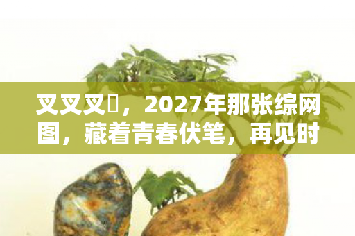 叉叉叉祼,2027年那张综网图,藏着青春伏笔,再见时鼻子一酸 叉叉叉祼,2027年那张综网图,藏着青春伏笔,再见时鼻子一酸