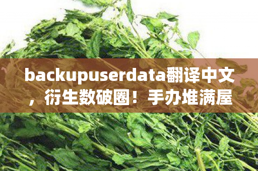 backupuserdata翻译中文,衍生数破圈!手办堆满屋的疯玩家,竟用房租换来意想不到的惊喜! backupuserdata翻译中文,衍生数破圈!手办堆满屋的疯玩家,竟用房租换来意想不到的惊喜!