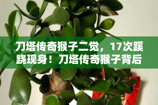刀塔传奇猴子二觉,17次蹊跷现身!刀塔传奇猴子背后真相,让人后背发凉! 刀塔传奇猴子二觉,17次蹊跷现身!刀塔传奇猴子背后真相,让人后背发凉!