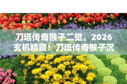 刀塔传奇猴子二觉,2026玄机暗藏!刀塔传奇猴子沉默背后,这游戏究竟给了我什么? 刀塔传奇猴子二觉,2026玄机暗藏!刀塔传奇猴子沉默背后,这游戏究竟给了我什么?