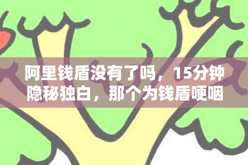 阿里钱盾没有了吗,15分钟隐秘独白,那个为钱盾哽咽的通宵,如今只剩登录界面在等 阿里钱盾没有了吗,15分钟隐秘独白,那个为钱盾哽咽的通宵,如今只剩登录界面在等