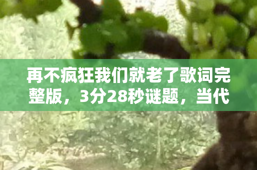 再不疯狂我们就老了歌词完整版,3分28秒谜题,当代码停止心跳,谁在泪目中听见青春的遗言? 再不疯狂我们就老了歌词完整版,3分28秒谜题,当代码停止心跳,谁在泪目中听见青春的遗言?