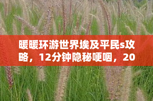 暖暖环游世界埃及平民s攻略,12分钟隐秘哽咽,2027年深夜,我翻出暖暖埃及的旧存档 暖暖环游世界埃及平民s攻略,12分钟隐秘哽咽,2027年深夜,我翻出暖暖埃及的旧存档