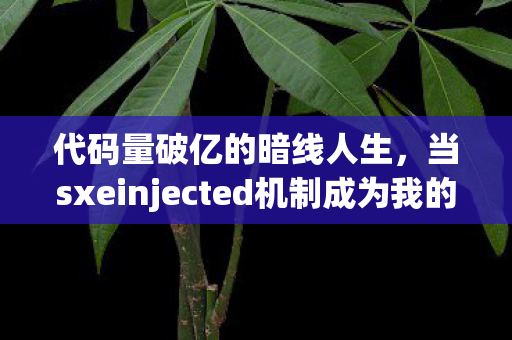 代码量破亿的暗线人生,当sxeinjected机制成为我的生存法则,头皮发麻! 代码量破亿的暗线人生,当sxeinjected机制成为我的生存法则,头皮发麻!