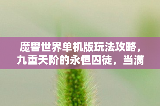 魔兽世界单机版玩法攻略,九重天阶的永恒囚徒,当满级成为灵魂的枷锁,单机版里谁在审判存在? 魔兽世界单机版玩法攻略,九重天阶的永恒囚徒,当满级成为灵魂的枷锁,单机版里谁在审判存在?