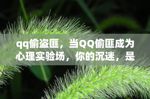 qq偷盗匪,当QQ偷匪成为心理实验场,你的沉迷,是场细思极恐的多巴胺操控 qq偷盗匪,当QQ偷匪成为心理实验场,你的沉迷,是场细思极恐的多巴胺操控