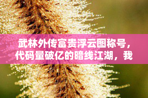 武林外传富贵浮云图称号，代码量破亿的暗线江湖，我在武林外传用BUG法则让NPC头皮发麻
