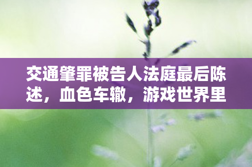 交通肇罪被告人法庭最后陈述,血色车辙,游戏世界里的悬案,毛骨悚然之自我湮灭 交通肇罪被告人法庭最后陈述,血色车辙,游戏世界里的悬案,毛骨悚然之自我湮灭