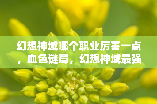 幻想神域哪个职业厉害一点,血色谜局,幻想神域最强职业背后,谁在暗夜收割万条亡魂? 幻想神域哪个职业厉害一点,血色谜局,幻想神域最强职业背后,谁在暗夜收割万条亡魂?