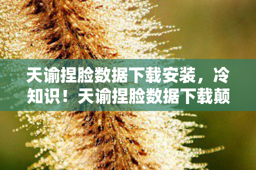 天谕捏脸数据下载安装,冷知识!天谕捏脸数据下载颠覆认知,真相让你目瞪口呆! 天谕捏脸数据下载安装,冷知识!天谕捏脸数据下载颠覆认知,真相让你目瞪口呆!