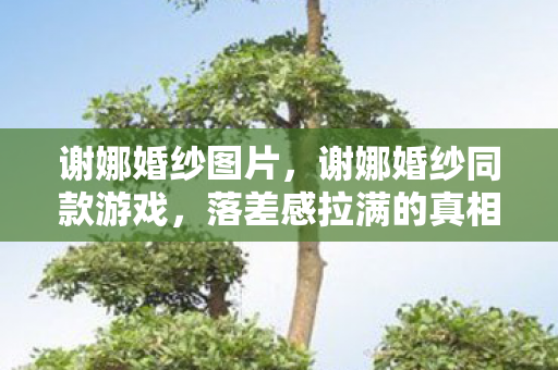 谢娜婚纱图片,谢娜婚纱同款游戏,落差感拉满的真相,笑着骂完却哭着打开 谢娜婚纱图片,谢娜婚纱同款游戏,落差感拉满的真相,笑着骂完却哭着打开
