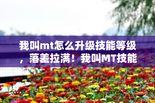 我叫mt怎么升级技能等级，落差拉满！我叫MT技能升级真相，笑着骂完，笑着哭了