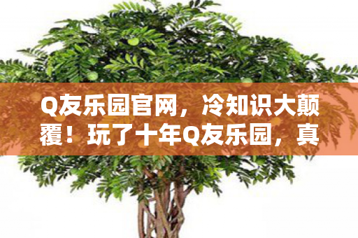 Q友乐园官网,冷知识大颠覆!玩了十年Q友乐园,真相让我目瞪口呆! Q友乐园官网,冷知识大颠覆!玩了十年Q友乐园,真相让我目瞪口呆!