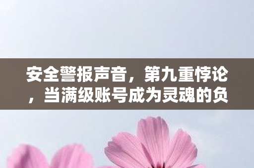安全警报声音,第九重悖论,当满级账号成为灵魂的负级安全警报 安全警报声音,第九重悖论,当满级账号成为灵魂的负级安全警报