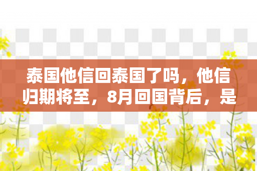 泰国他信回泰国了吗,他信归期将至,8月回国背后,是1%的希望还是99%的深渊? 泰国他信回泰国了吗,他信归期将至,8月回国背后,是1%的希望还是99%的深渊?