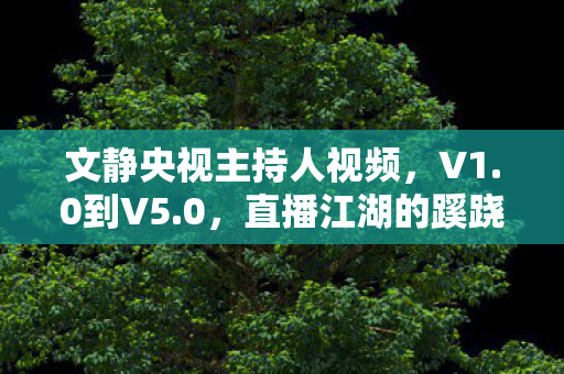 文静央视主持人视频,V1.0到V5.0,直播江湖的蹊跷迭代,那些被版本碾碎的真心啊! 文静央视主持人视频,V1.0到V5.0,直播江湖的蹊跷迭代,那些被版本碾碎的真心啊!