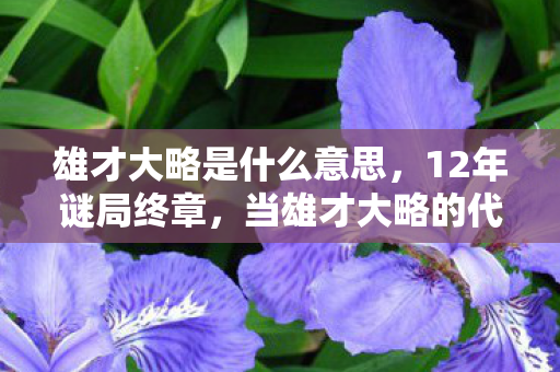 雄才大略是什么意思,12年谜局终章,当雄才大略的代码成为数字墓碑,泪目真相竟藏于此 雄才大略是什么意思,12年谜局终章,当雄才大略的代码成为数字墓碑,泪目真相竟藏于此