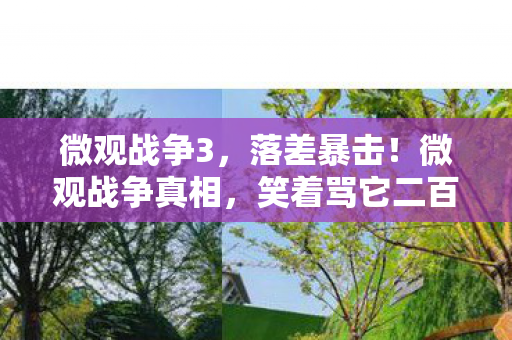 微观战争3，落差暴击！微观战争真相，笑着骂它二百句，最后哭着点重开