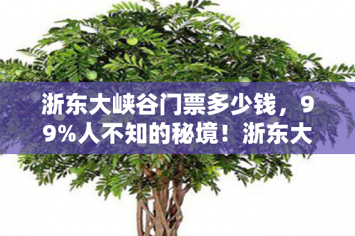 浙东大峡谷门票多少钱,99%人不知的秘境!浙东大峡谷门票竟藏着99%游客错过的扎心真相 浙东大峡谷门票多少钱,99%人不知的秘境!浙东大峡谷门票竟藏着99%游客错过的扎心真相