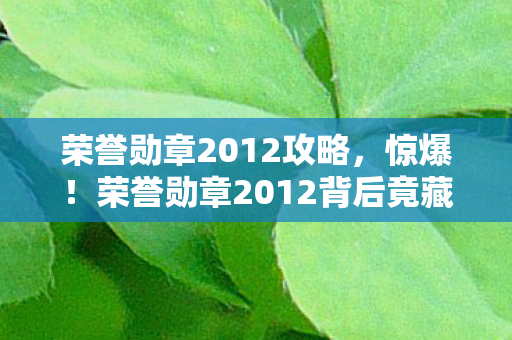 荣誉勋章2012攻略,惊爆!荣誉勋章2012背后竟藏3大未解之谜,玩家集体泪目! 荣誉勋章2012攻略,惊爆!荣誉勋章2012背后竟藏3大未解之谜,玩家集体泪目!