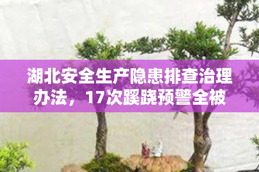 湖北安全生产隐患排查治理办法,17次蹊跷预警全被忽视,真相揭晓时让人后背发凉! 湖北安全生产隐患排查治理办法,17次蹊跷预警全被忽视,真相揭晓时让人后背发凉!