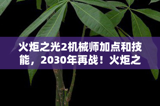 火炬之光2机械师加点和技能,2030年再战!火炬之光2机械师竟藏着这等逆天操作? 火炬之光2机械师加点和技能,2030年再战!火炬之光2机械师竟藏着这等逆天操作?
