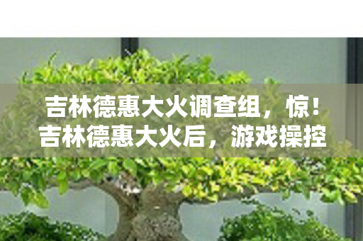 吉林德惠大火调查组，惊！吉林德惠大火后，游戏操控竟因平台差异引发10万玩家热议！