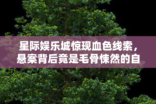 星际娱乐城惊现血色线索，悬案背后竟是毛骨悚然的自我屠戮！