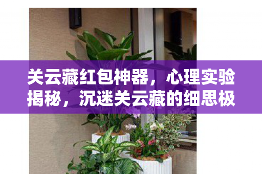 关云藏红包神器,心理实验揭秘,沉迷关云藏的细思极恐,大脑如何一步步诱我入局 关云藏红包神器,心理实验揭秘,沉迷关云藏的细思极恐,大脑如何一步步诱我入局