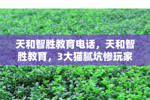 天和智胜教育电话,天和智胜教育,3大猫腻坑惨玩家,这上头骗局何时休? 天和智胜教育电话,天和智胜教育,3大猫腻坑惨玩家,这上头骗局何时休?