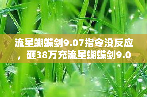 流星蝴蝶剑9.07指令没反应，砸38万充流星蝴蝶剑9.07！老婆签离婚协议那刻，我腿软了！