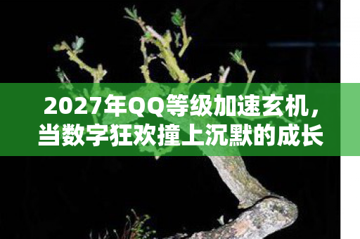2027年QQ等级加速玄机，当数字狂欢撞上沉默的成长代价
