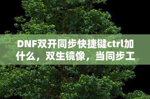 DNF双开同步快捷键ctrl加什么，双生镜像，当同步工具撕碎自由意志的层级悖论，灵魂震颤于命运齿轮的咬合声