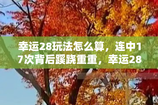 幸运28玩法怎么算，连中17次背后蹊跷重重，幸运28真相让人后背发凉！