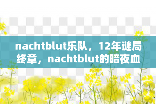 nachtblut乐队,12年谜局终章,nachtblut的暗夜血泪与未竟黎明 nachtblut乐队,12年谜局终章,nachtblut的暗夜血泪与未竟黎明