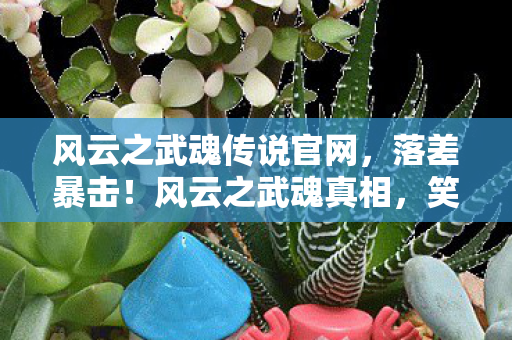 风云之武魂传说官网，落差暴击！风云之武魂真相，笑着骂完，哭着又上线了