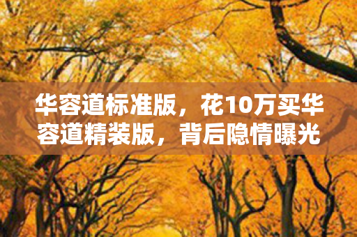 华容道标准版，花10万买华容道精装版，背后隐情曝光，真让人吓一跳！